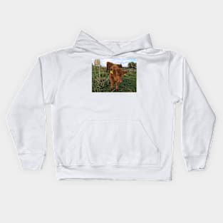 Scottish Highland Cattle Cow and Calf 1569 Kids Hoodie